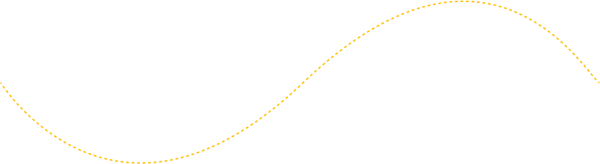 Decorative line connecting Dryden NY Taxi Service booking steps
